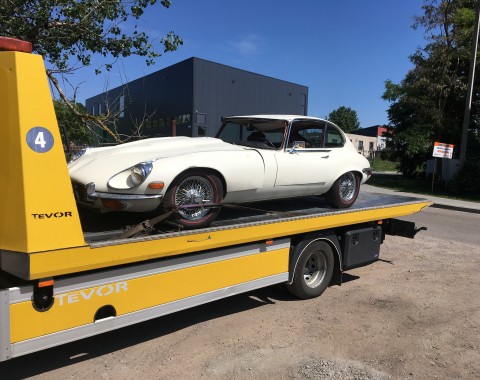 Jaguar e-type v12